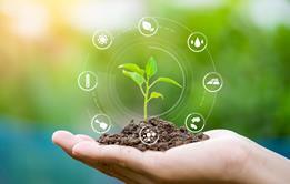 Regenerative agriculture