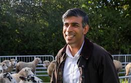 53202065647_42283ba6e6_o