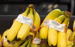 Fairtrade bananas Sainsbury's