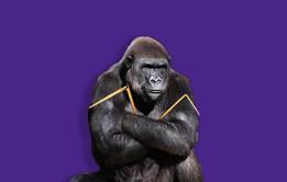 ONE USEMAIN_GettyImages-573627905