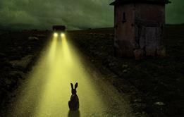 GettyImages-99631720