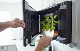 MAIN_GettyImages-1300229160 copy