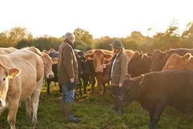farmers