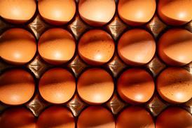 Fresh brown chicken eggs in a cardboard crate tray under warm natural sunlight, top view. - stock photo