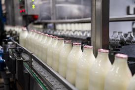 glass milk bottles on conveyor belt