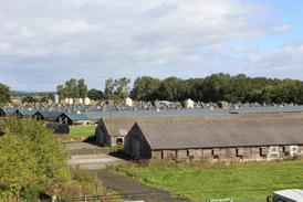 Poultry Farm Sheds