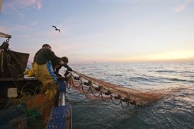 Men bringing in a net on a trawler at sunrise