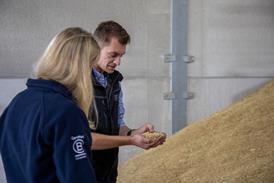 British Oats 1