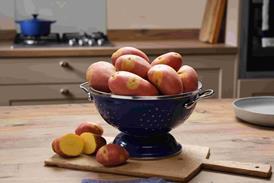 A colander of red and white potatoes on a kitchen countertop