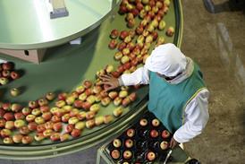 Mature female worker sorting apples in apple processing factory, elevated view - stock photo
