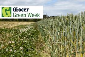 Green Issue - 1