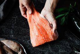 Close-up of a chef preparing fresh salmon fillet in kitchen