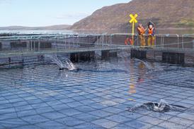 salmon farm