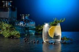Gin cocktail with juniper berries