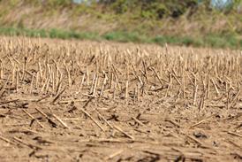 droufght dry ground