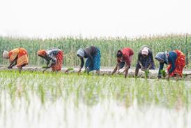 GettyImages-2033102984