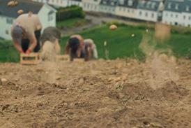 Royal_Jersey_Stills. TV Potato Burst