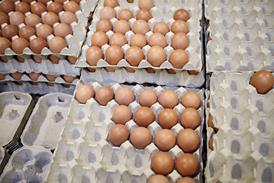 eggs in box - getty