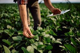 Close up of farm worker using touchpad during inspection of soybean crops in the field. - stock photo