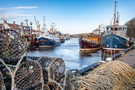 Fishing boats and trawlers docked beside lobster pots in Eyemouth Harbour, Scotland - stock photo