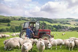 Farmer in tractor with son watching sheep in field - Getty Images