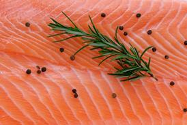Salmon - stock photo