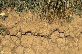 GettyImages-2225792773