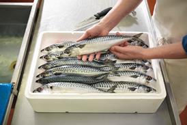 mackerel in a box - gety