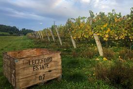 Leckford vineyard crate