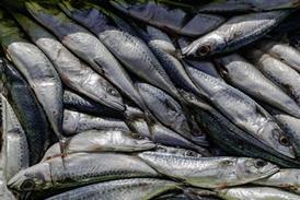 GettyImages-1146233239