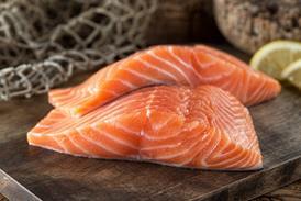 Fresh Salmon Fillets - stock photo