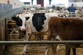 GettyImages-181956354