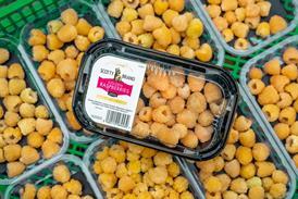 Exclusive to Asda - Scotty Brand and Bruce Farms' Scottish Grown Golden Raspberries (1)