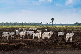 GettyImages-1629814926