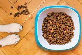 bowl of dog food