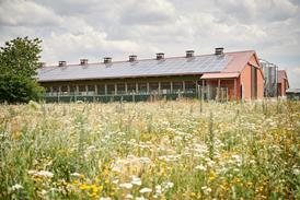 HEIDEMARK poultry barn