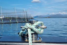 Scottish Sea Farms site