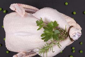 chicken