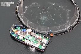 GBF Portree Video for media - The Green Britain Foundation