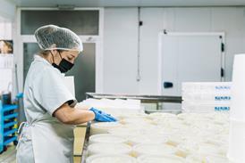 cheese factory - getty