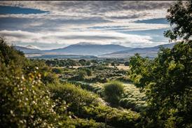Diageo pledges up to £5million to restore Scotland's peatlands