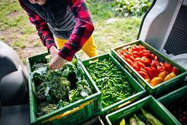 man with vegetables in van