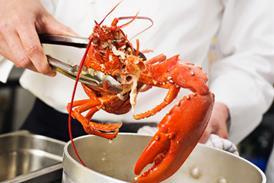 Lobster being pulled out a put - Getty