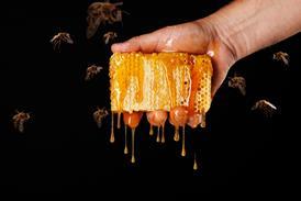 honey bees