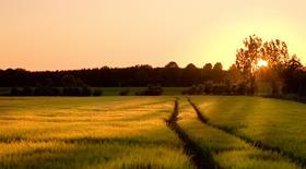 Waitrose Net Zero Farm Fund 3