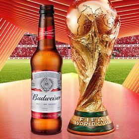 Budweiser x World Cup