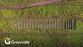 Greenvale - Integrated intervention for sustainable potato prod