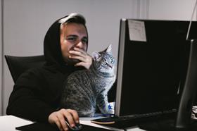 cat computer