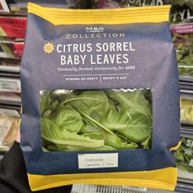 M&S vertically farmed Citrus Sorrel Baby Leaves