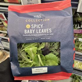 M&S vertically farmed Spicy Baby Leaves